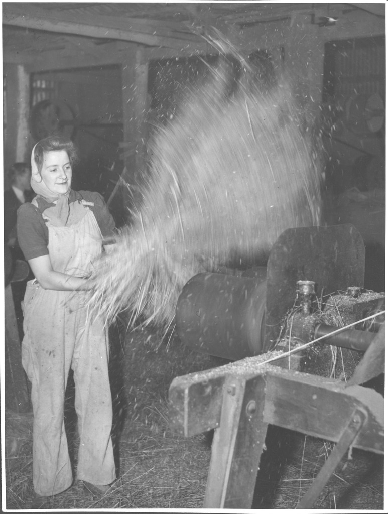 Land Army girl winnowing flax at the Drouin flax mill, Drouin, Victoria